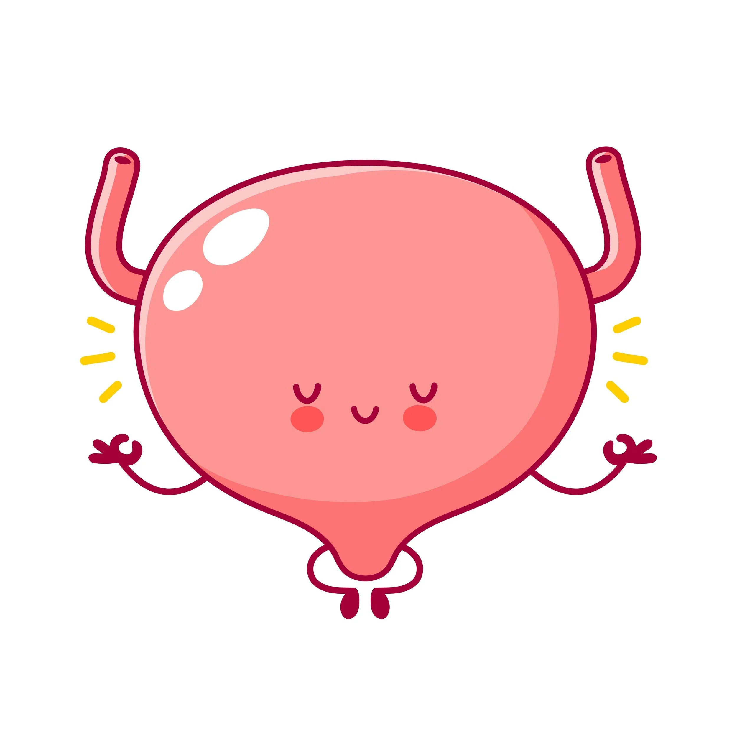 bladder relaxation tips pelvic floor physical therapy
