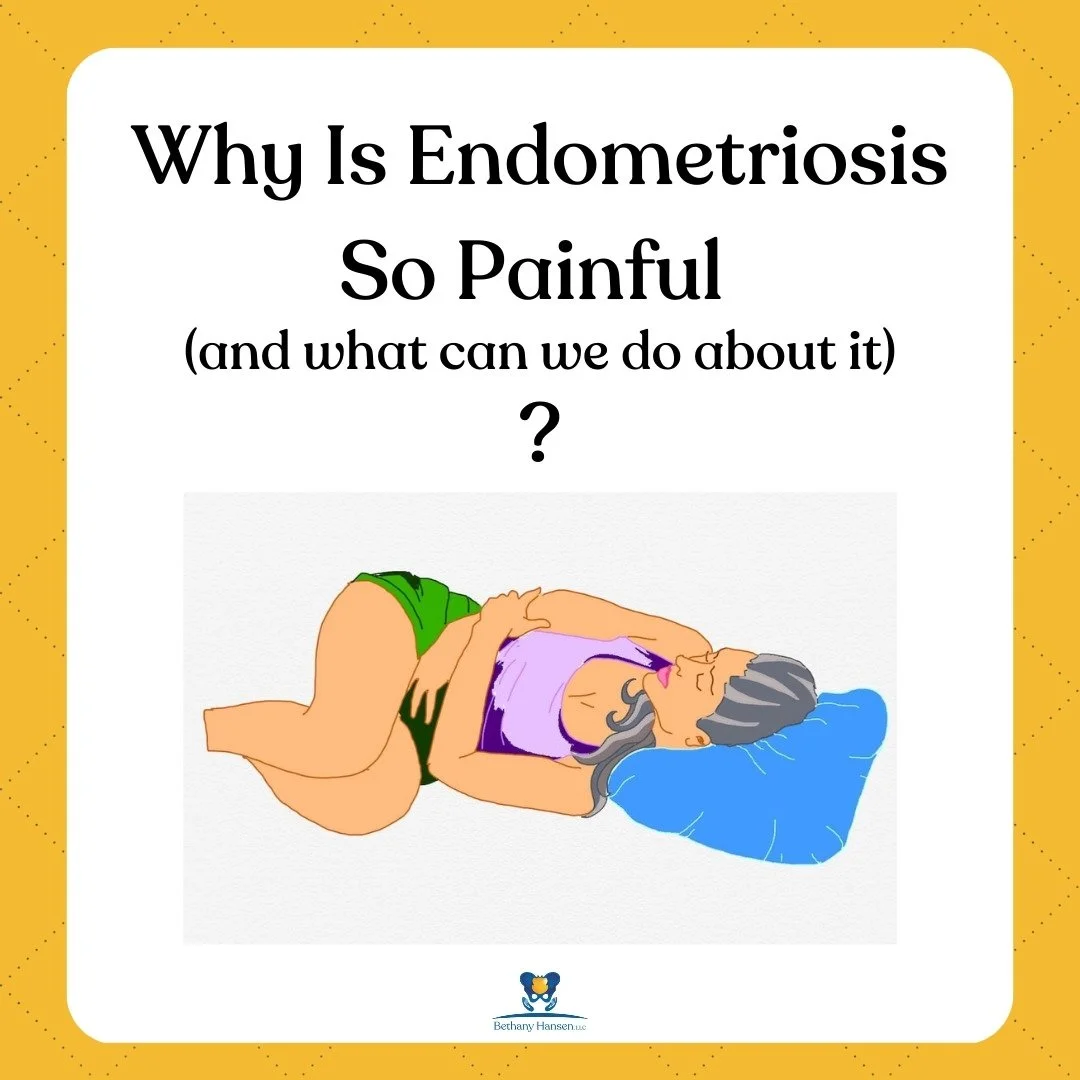 endometriosis pelvic floor physical therapy