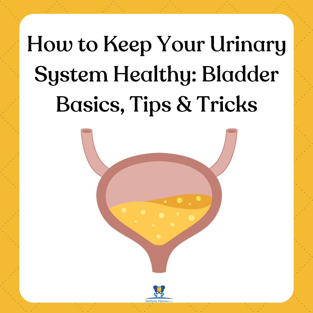 How to Keep Your Urinary System Healthy pelvic floor physical therapy