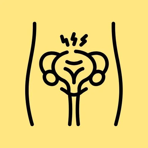 Bethany Hansen pelvic floor Physical Therapy treatment for pelvic organ prolapse Edina Minnesota