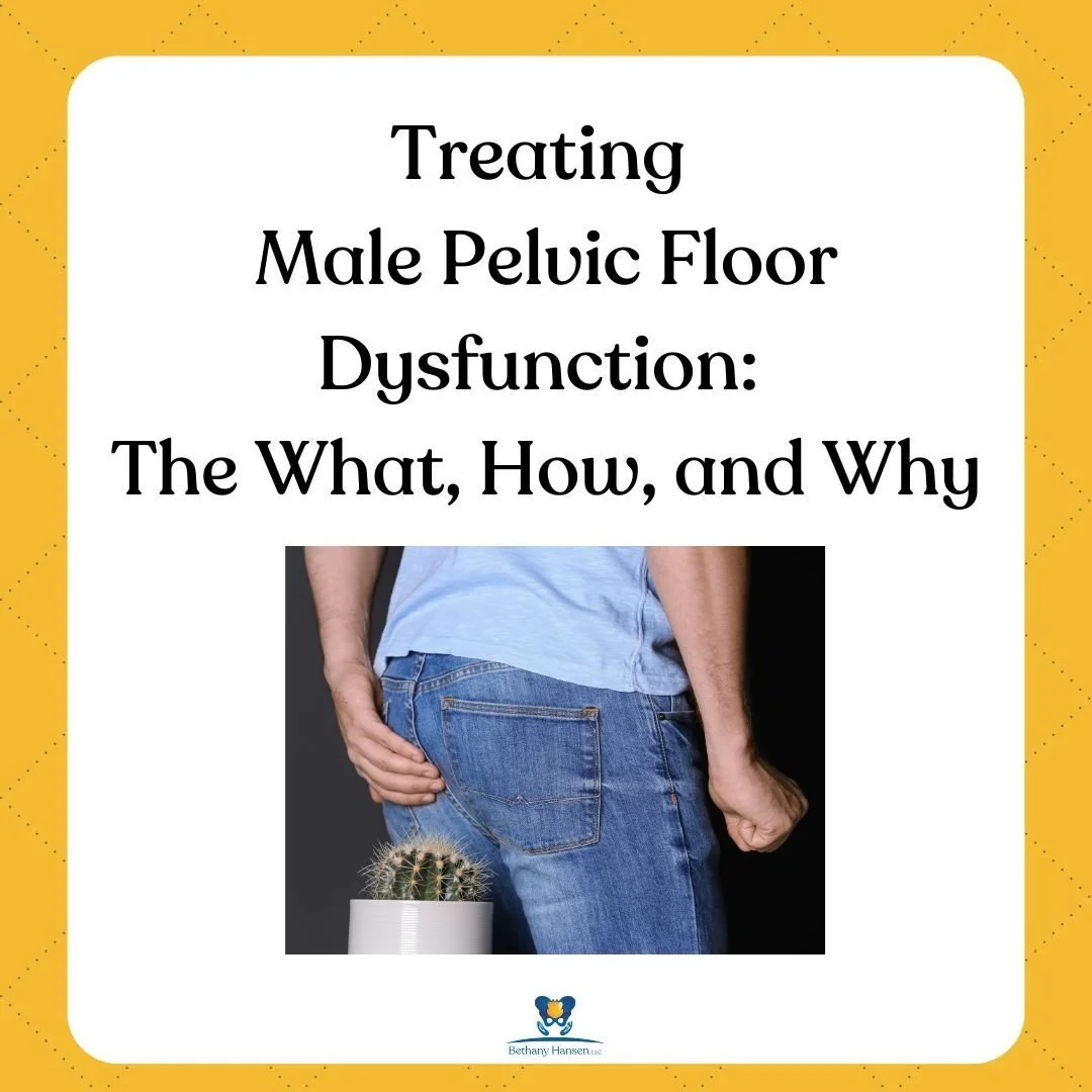 Treating Male Pelvic Floor Dysfunction:  The What, How, and Why
