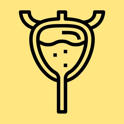 bladder-incontinence-pain-Bethany-Hansen-pelvic-floor-physical-therapy-PT.jpg