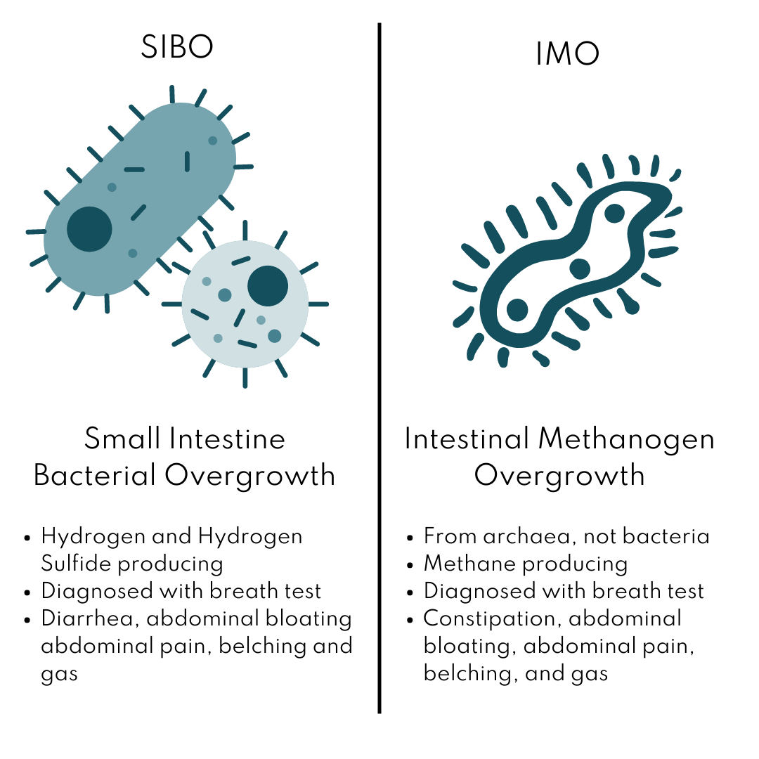 SIBO and IMO comparison